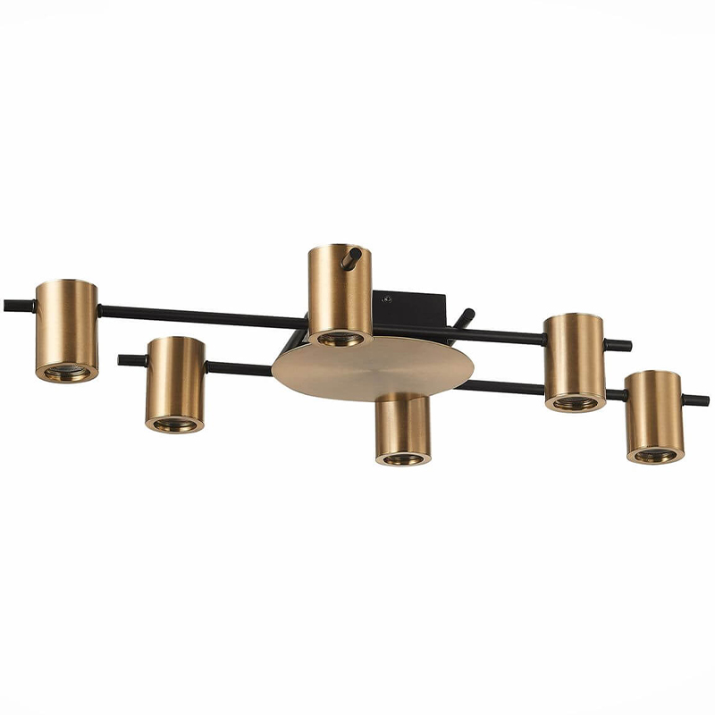 Потолочный светильник Aigle Ceiling Light 6 Черный Латунь Потолочный светильник Aigle Ceiling Light 6 Черный Латунь в Волгограде | Loft Concept