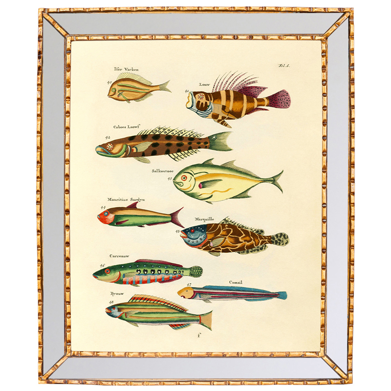 Постер в зеркальной раме Fish Guide 2 Мульти Золотой в Волгограде | Loft Concept 