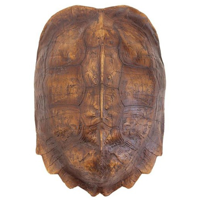 Аксессуар Turtle Shell Natural Light Brown Коричневый Аксессуар Turtle Shell Natural Light Brown Коричневый в Волгограде | Loft Concept