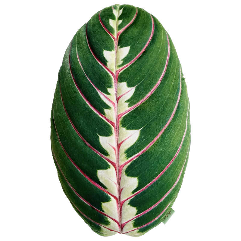 Декоративная подушка Botanical Cushion Maranta Trikolor Зеленый Бургундский красный Декоративная подушка Botanical Cushion Maranta Trikolor Зеленый Бургундский красный в Волгограде | Loft Concept