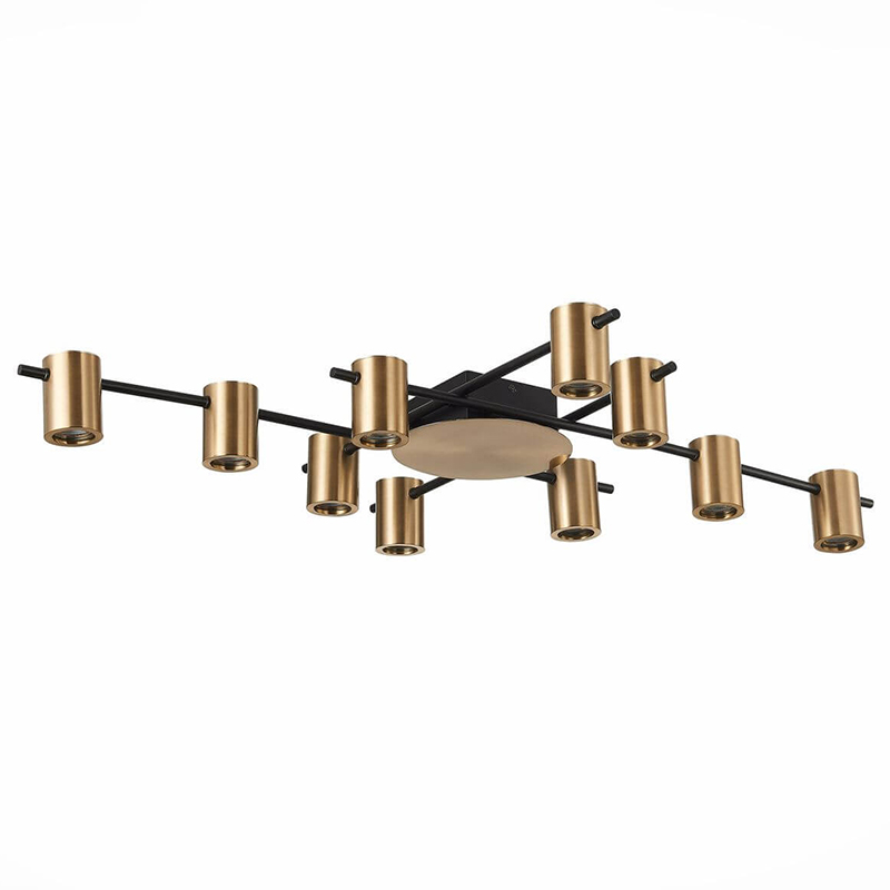Потолочный светильник Aigle Ceiling Light 10 Черный Латунь Потолочный светильник Aigle Ceiling Light 10 Черный Латунь в Волгограде | Loft Concept