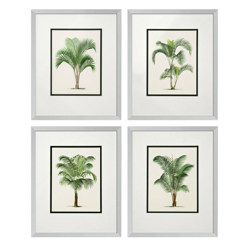 Комплект постеров Eichholtz Prints Palms set of 4 Белый Зеленый Серебряный в Волгограде | Loft Concept 