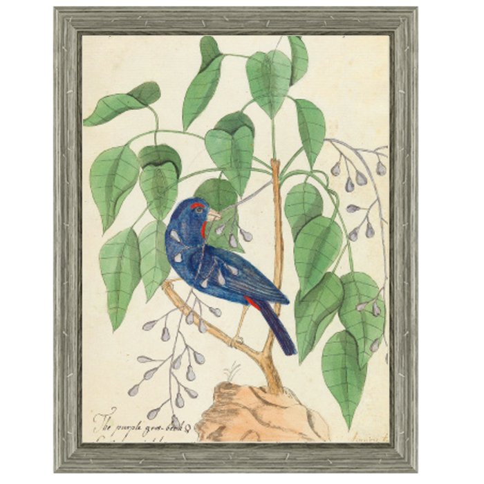 Постер Blue Bird In Foliage Постер Blue Bird In Foliage в Волгограде | Loft Concept