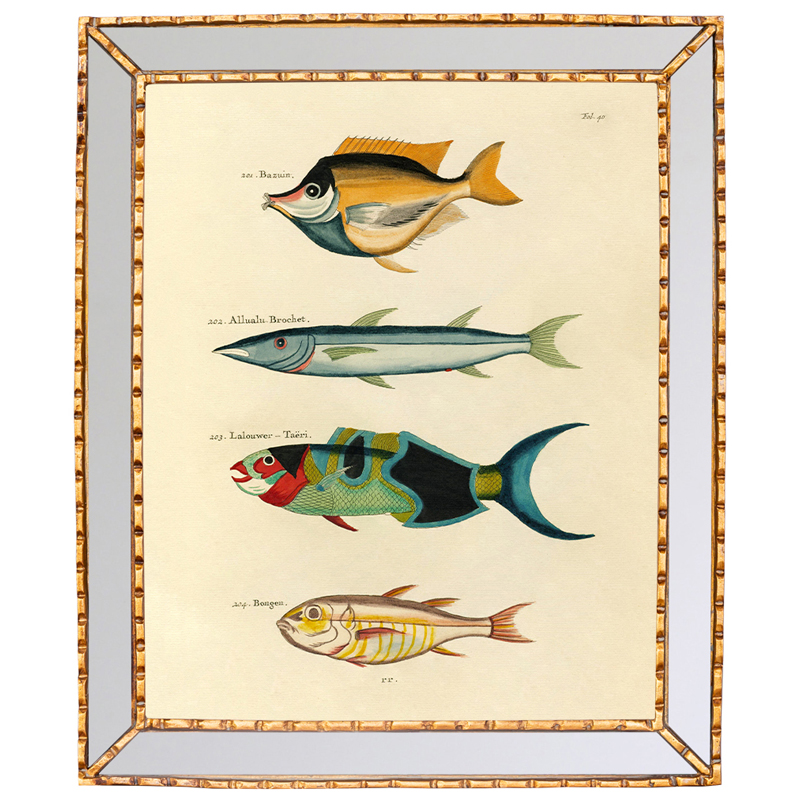 Постер в зеркальной раме Fish Guide 3 Мульти Золотой Постер в зеркальной раме Fish Guide 3 Мульти Золотой в Волгограде | Loft Concept