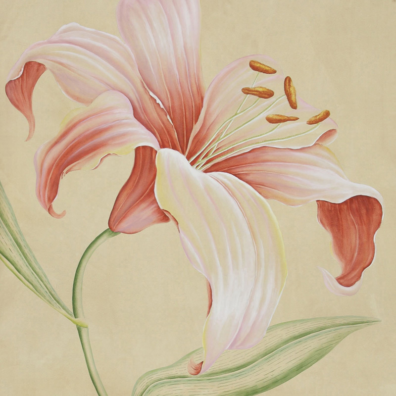 Обои ручная роспись Lilium Special Colourway on yellow painted silk Обои ручная роспись Lilium Special Colourway on yellow painted silk в Волгограде | Loft Concept