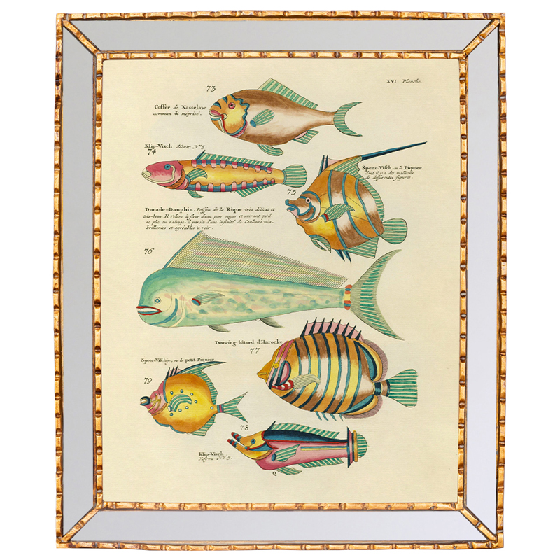 Постер в зеркальной раме Fish Guide 6 Мульти Золотой в Волгограде | Loft Concept 