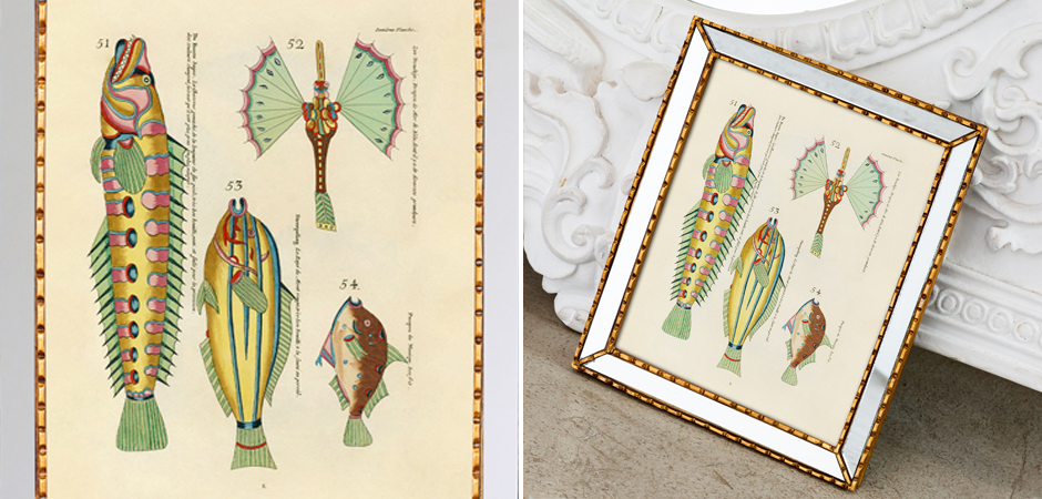 Постер в зеркальной раме Fish Guide 5 - Loft-Concept в Волгограде