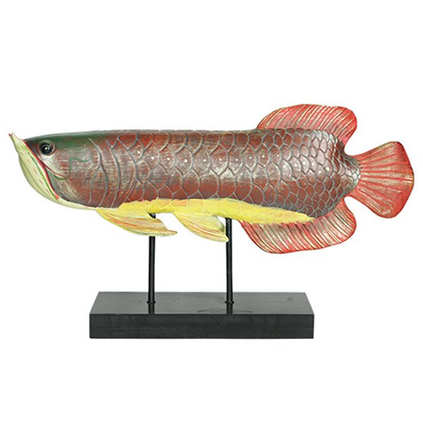 Аксессуар для интерьера рыба Colored Fish Аксессуар для интерьера рыба Colored Fish в Волгограде | Loft Concept