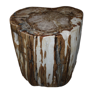 Стул из окаменелого дерева SWS002