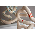 Скульптура «Papañca» варинант исполнения - 3 | Loft Concept в Волгограде