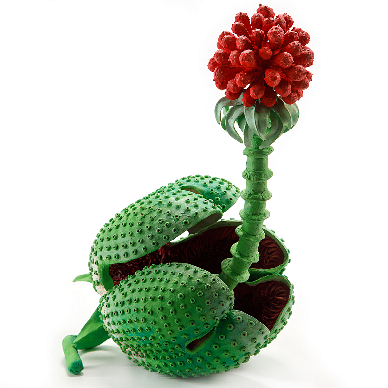 Дизайнерская статуэтка для интерьера Tropical Fruit Pandora 16 Зеленый Красный Дизайнерская статуэтка для интерьера Tropical Fruit Pandora 16 Зеленый Красный в Волгограде | Loft Concept