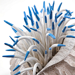 Статуэтка тропический фрукт Tropical Fruit White Blue варинант исполнения - 1 | Loft Concept в Волгограде