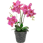 Декоративный искусственное растение Pink orchid варинант исполнения - 1 | Loft Concept в Волгограде