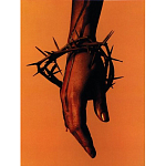 Подарочная книга величайший фотограф Альберт Уотсон The Vienna album Albert Watson варинант исполнения - 4 | Loft Concept в Волгограде