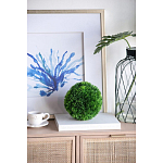 Декоративный искусственное растение Round boxwood варинант исполнения - 4 | Loft Concept в Волгограде