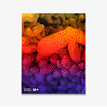 Редкое подарочное издание Yayoi Kusama: 1945 to Now варинант исполнения - 3 | Loft Concept в Волгограде