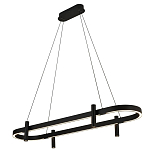 Люстра подвесная овальная черная  Black Light Fixtures варинант исполнения - 1 | Loft Concept в Волгограде