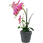 Декоративный искусственное растение Pink orchid варинант исполнения - 4 | Loft Concept в Волгограде