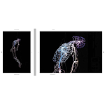 Монография художника Tavares Strachan - There is Light Somewhere варинант исполнения - 6 | Loft Concept в Волгограде