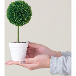 Декоративный искусственное растение Boxwood One варинант исполнения - 6 | Loft Concept в Волгограде