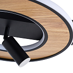 Потолочный светильник круглый GAVIN WOOD варинант исполнения - 2 | Loft Concept в Волгограде