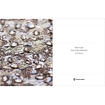 Книга Maison Lesage: Haute Couture Embroidery Mauries Patrick варинант исполнения - 11 | Loft Concept в Волгограде