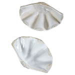 Фигурка из фарфора в виде одной створки ракушки Marine Tridacna варинант исполнения - 3 | Loft Concept в Волгограде