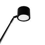 Торшер с изогнутой черной металлической стойкой и цилиндрическим плафоном Davide Groppi варинант исполнения - 4 | Loft Concept в Волгограде