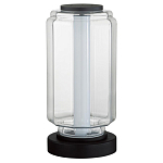 Настольная лампа с прозрачным плафоном Jarrty варинант исполнения - 1 | Loft Concept в Волгограде