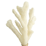 Статуэтка Stand Coral варинант исполнения - 2 | Loft Concept в Волгограде