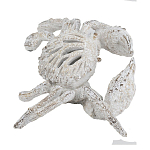 Статуэтка краб с детализированной текстурой в белом цвете Marine Accessories варинант исполнения - 4 | Loft Concept в Волгограде