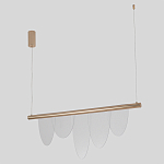 Люстра подвесная с пятью прозрачными элементами в форме лепестков и золотистым металлическим основанием DALI Tonin Casa варинант исполнения - 2 | Loft Concept в Волгограде