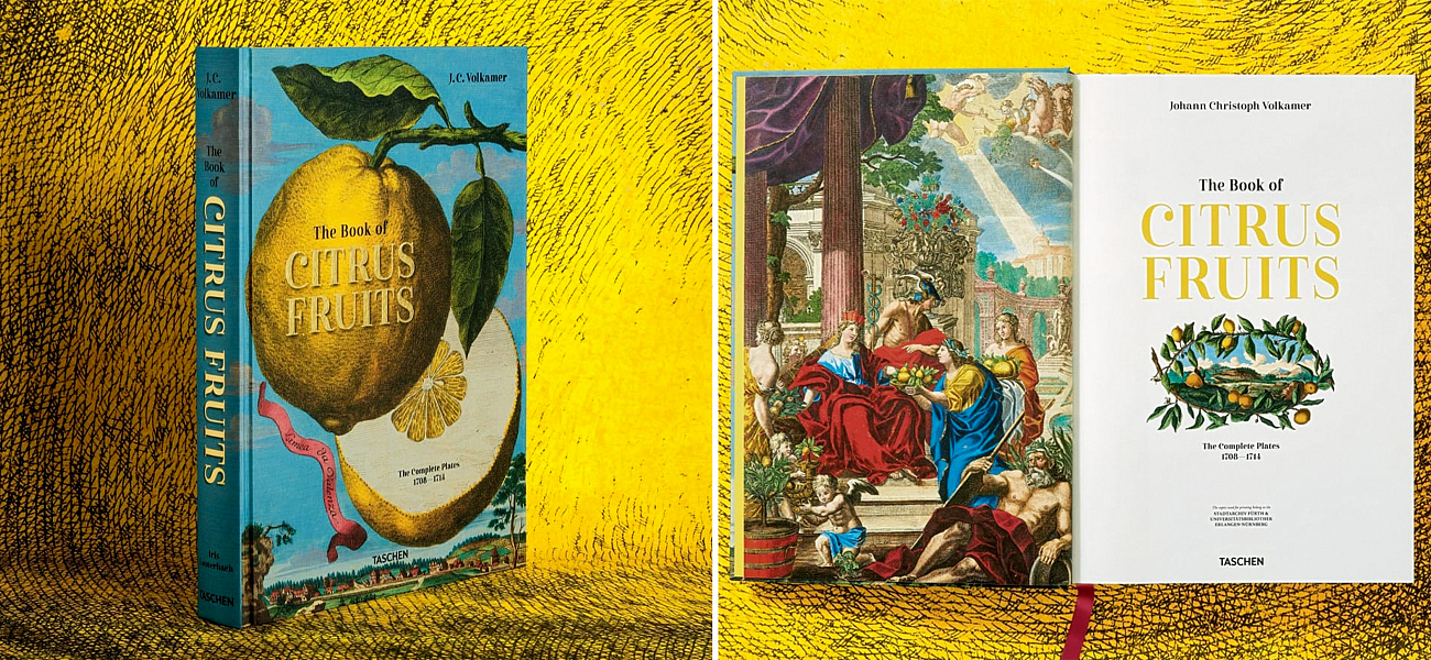 Volkamer Citrus Fruits Volkamer Citrus Fruits - Loft-Concept в Волгограде