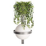 Бра Benedict Dark grey варинант исполнения - 1 | Loft Concept в Волгограде