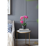 Декоративный искусственное растение Pink orchid варинант исполнения - 8 | Loft Concept в Волгограде