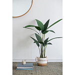 Декоративный искусственное растение Decor Stile  варинант исполнения - 7 | Loft Concept в Волгограде