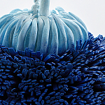 Статуэтка Синий тропический фрукт Tropical Fruit Pandora 1 варинант исполнения - 4 | Loft Concept в Волгограде