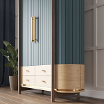 Шкаф «Гавайи» варинант исполнения - 2 | Loft Concept в Волгограде