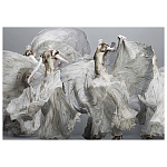 Alexander McQueen: Savage Beauty варинант исполнения - 2 | Loft Concept в Волгограде