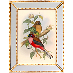 Постер с изображением птиц и цветов в зеркальной раме Blooming Birds Poster варинант исполнения - 7 | Loft Concept в Волгограде