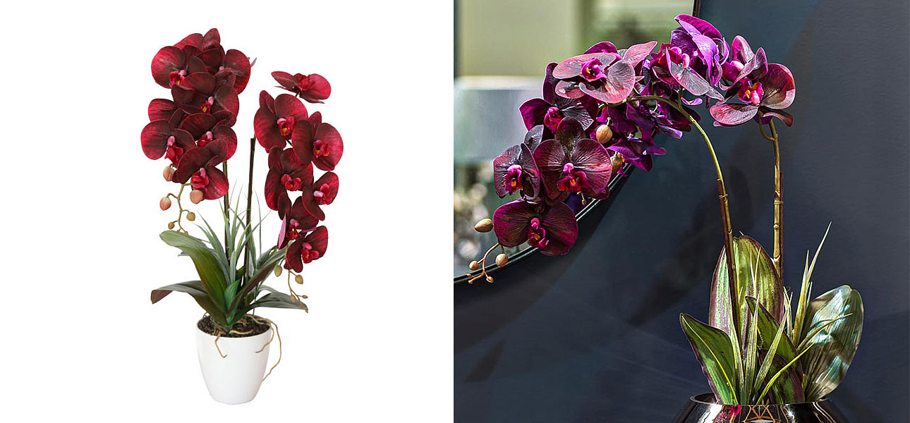 Искусственная орхидея Мультифлора burgundy - Loft-Concept в Волгограде