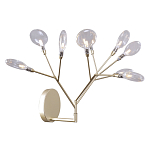 Бра в виде ветвей с прозрачными круглыми плафонами Moooi варинант исполнения - 1 | Loft Concept в Волгограде