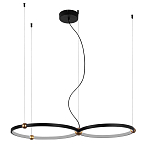 Люстра подвесная светодиодная черный металл Ring Horizontal варинант исполнения - 9 | Loft Concept в Волгограде
