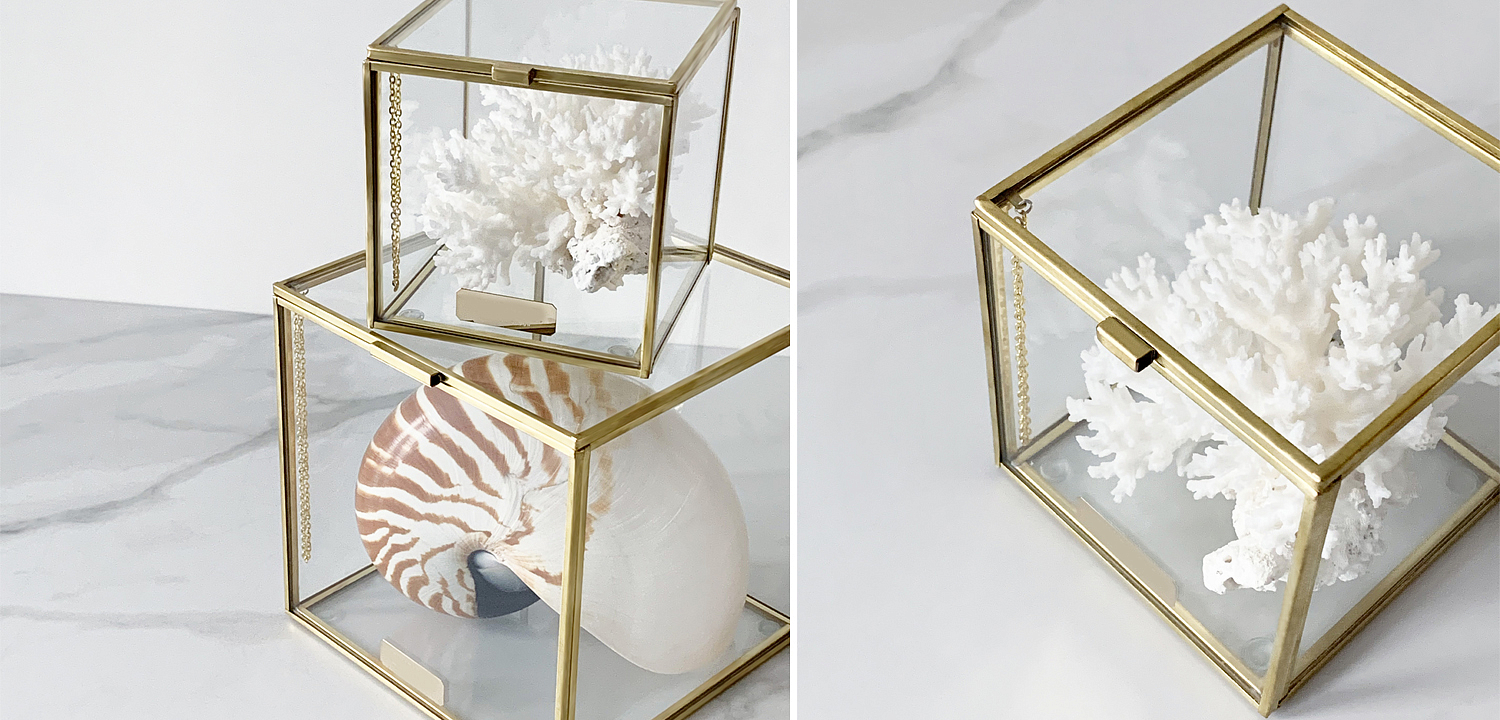 Статуэтка Natural Coral Glass Box S Статуэтка Natural Coral Glass Box S - Loft-Concept в Волгограде