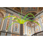 Дизайнерский торшер в виде пальмы Poltronova Sanremo Floor Lamp варинант исполнения - 9 | Loft Concept в Волгограде