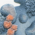 Тканый вручную Большой абстрактный гобелен Frost Forest варинант исполнения - 1 | Loft Concept в Волгограде