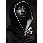 Подарочная книга величайший фотограф Альберт Уотсон The Vienna album Albert Watson варинант исполнения - 2 | Loft Concept в Волгограде