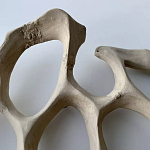 Блюдо «Бежевый коралл» варинант исполнения - 3 | Loft Concept в Волгограде