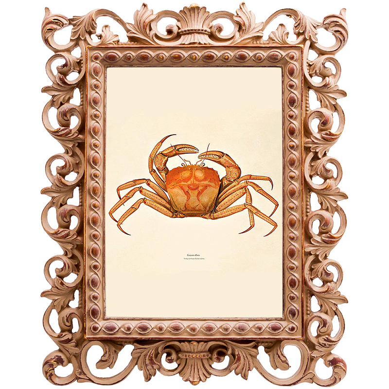 Постер Ocher Crab Poster Бежевый Оранжевый Постер Ocher Crab Poster Бежевый Оранжевый в Волгограде | Loft Concept