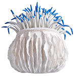 Статуэтка тропический фрукт Tropical Fruit White Blue варинант исполнения - 3 | Loft Concept в Волгограде